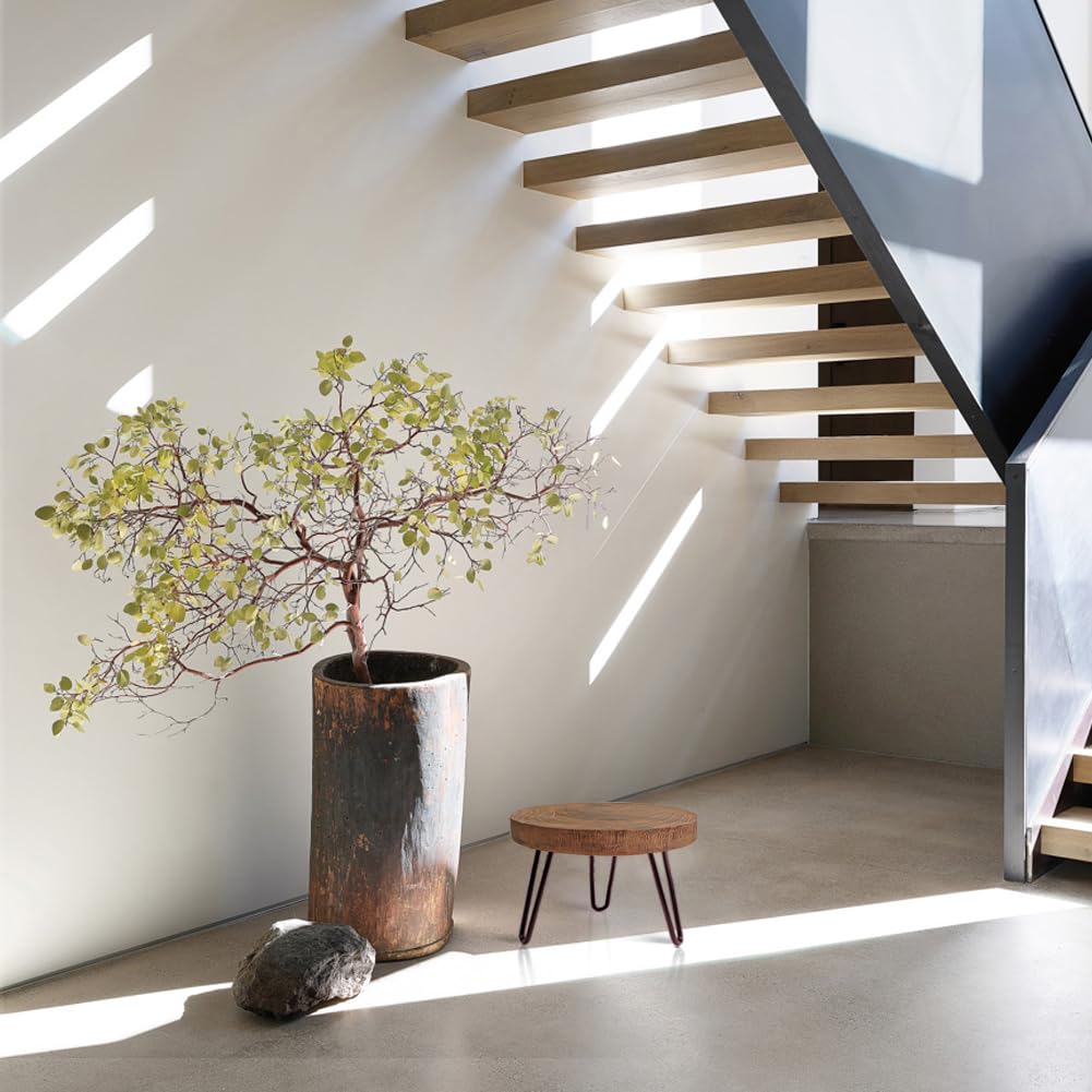 OBTAIN plant stand boho rustic style complements living spaces