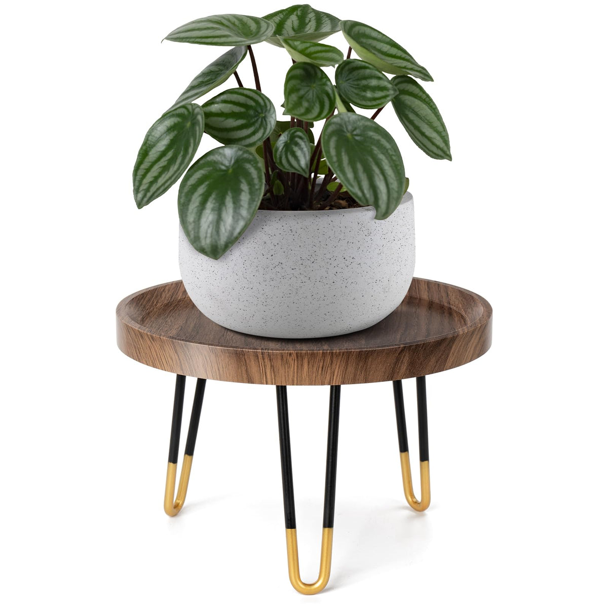 OBTAIN plant stand includes tools for quick, easy assembly