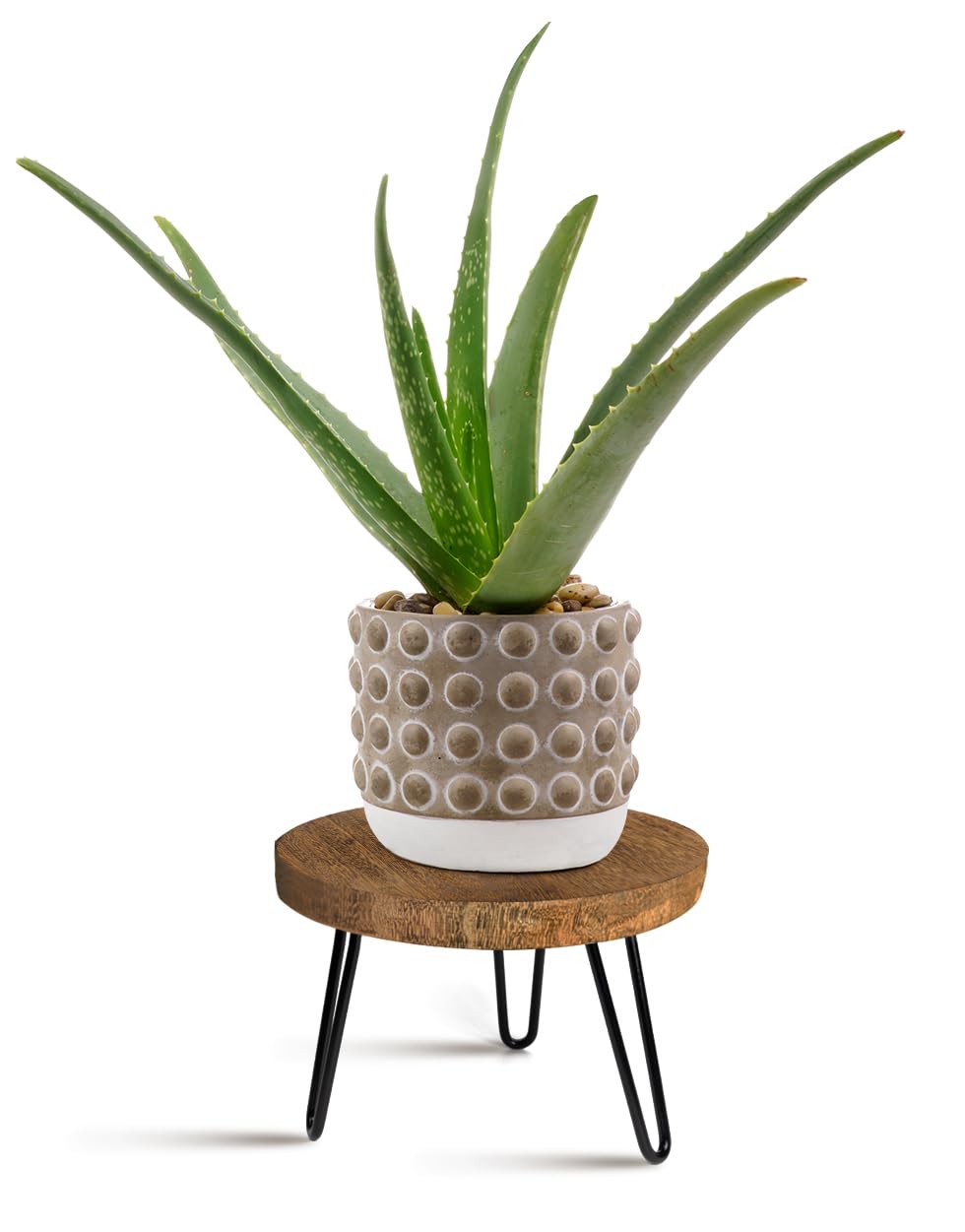 OBTAIN plant stand indoor outdoor top view showing natural wood texture and durable metal legs