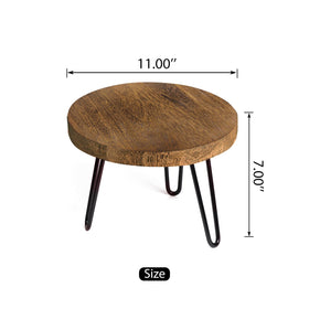 OBTAIN plant stand used indoors or outdoors with modern decor