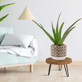 OBTAIN plant stand metal legs provide sturdy outdoor support
