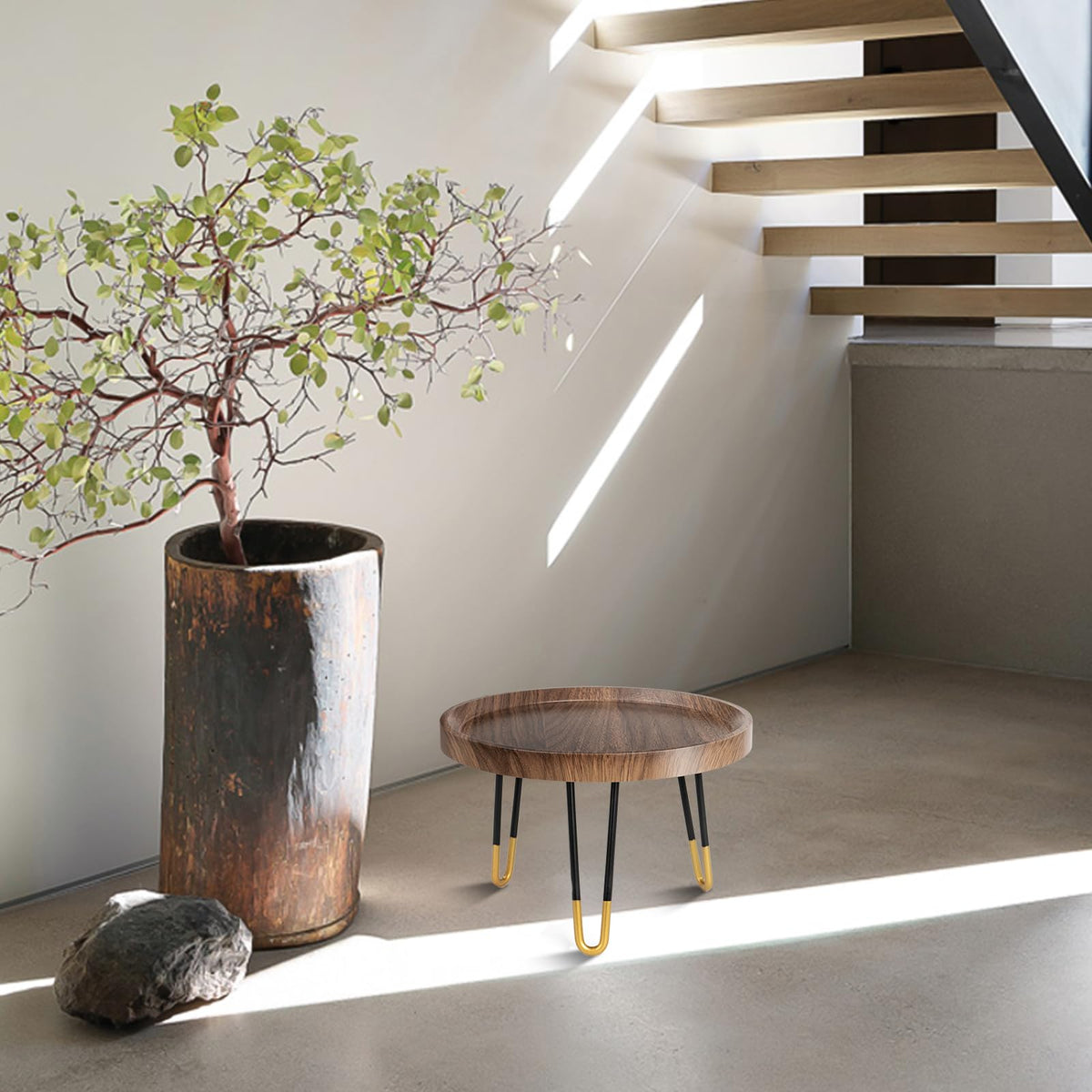 OBTAIN plant stand elevates plant presentation in room decor