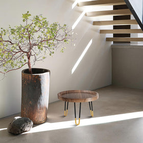 OBTAIN plant stand elevates plant presentation in room decor