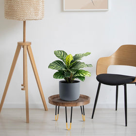 OBTAIN plant stand waterproof panel prevents spills during watering