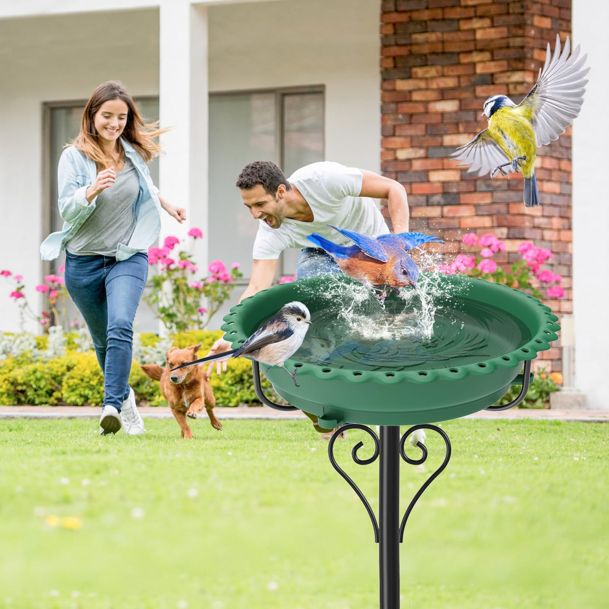 ODSNANIE bird bath with flower-hole rim attracts curious birds.