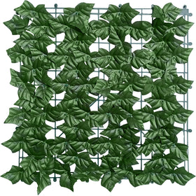 ODTORY packaging shows flat leaves that recover after unfolding