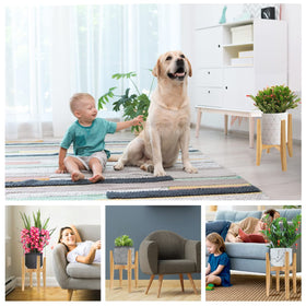 OERGKE stand supports up to 120 lb safely.