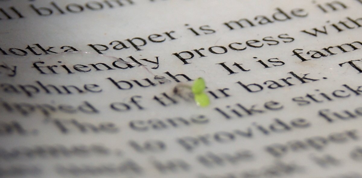 Of The Earth seed paper lightweight stock ideal for single-sided prints.