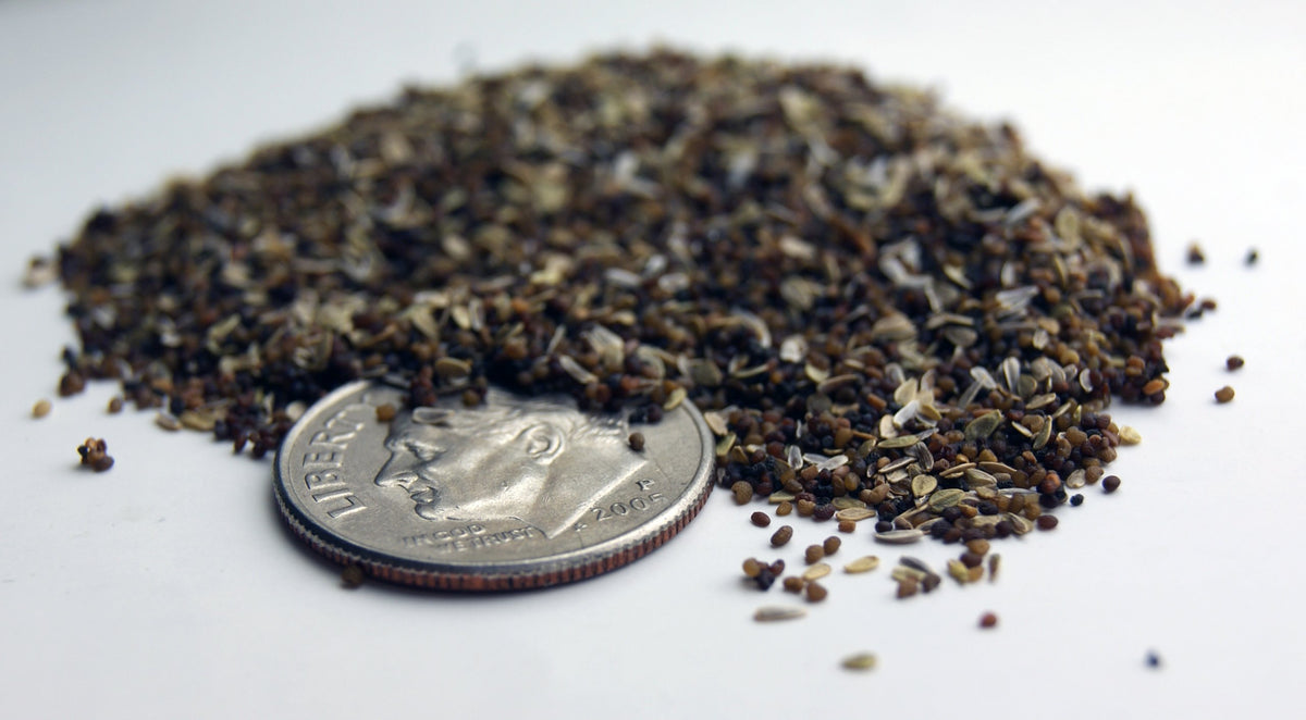 Of The Earth seed paper made with 50 percent recycled content.