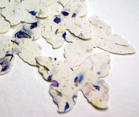 Of The Earth wildflower seed mix features six flowering species