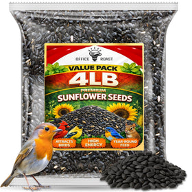 Office Roast Premium Black Oil Sunflower Seeds in bag front view for backyard feeding