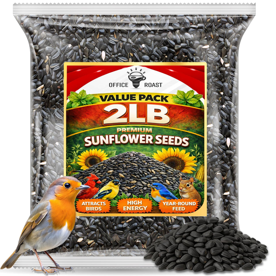 Office Roast premium black oil sunflower seeds in a bird feeder provide high-energy nutrition for songbirds