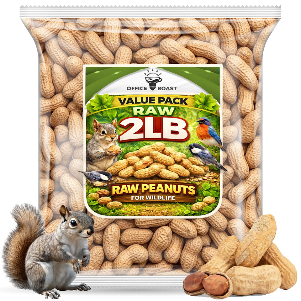 Office Roast raw peanuts in shells in a 2 lb bag for healthy snacking