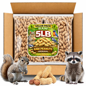 Office Roast raw peanuts in shell show natural, unsalted quality for snacking.