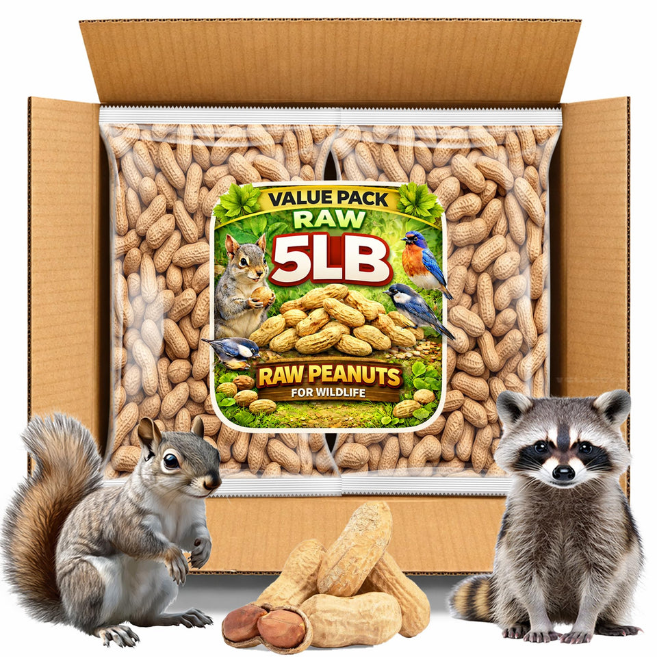 Office Roast raw peanuts in shell show natural, unsalted quality for snacking.