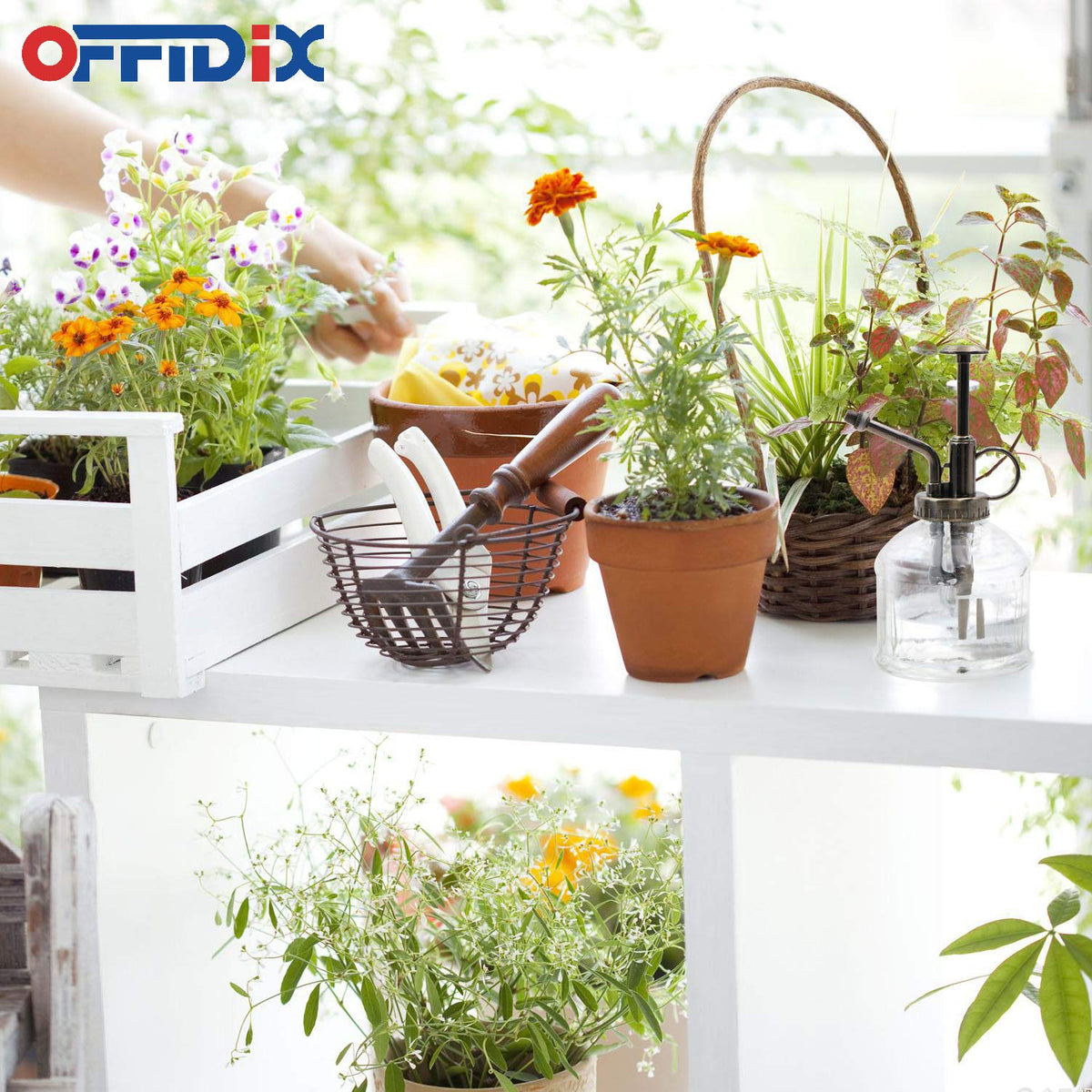 OFFIDIX glass bottle with bronze top pump is easy to refill and clean.