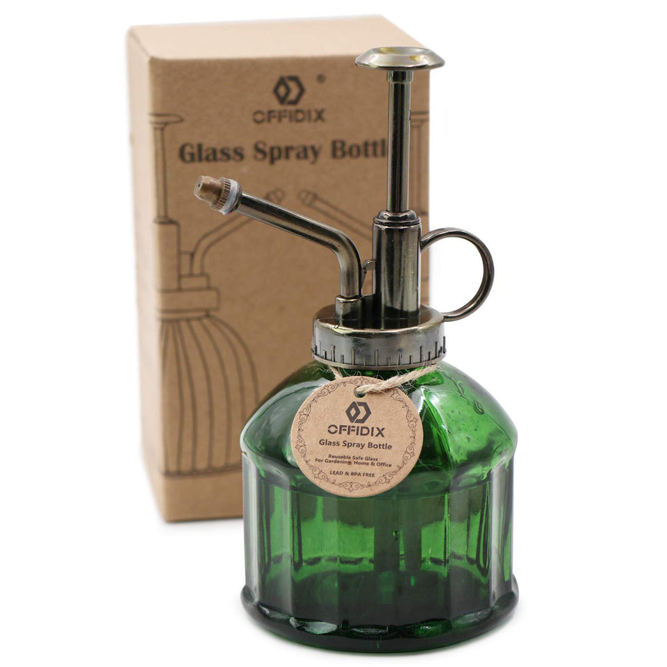 OFFIDIX glass plant mister with 6.3-inch bottle for gentle indoor watering