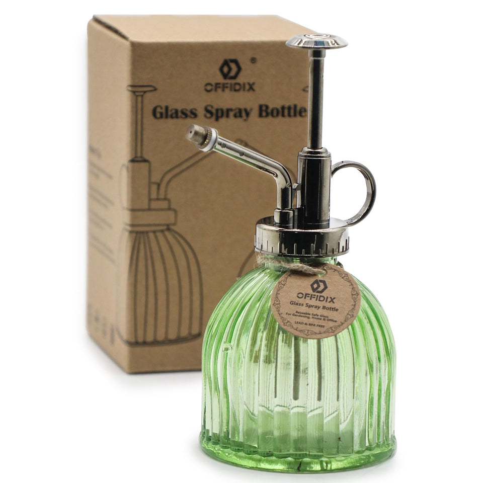 OFFIDIX glass plant mister, 6.3-inch tall, ideal for gentle indoor misting of succulents.