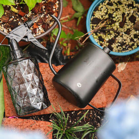 OFFIDIX indoor plant care set adds functional decor to a room