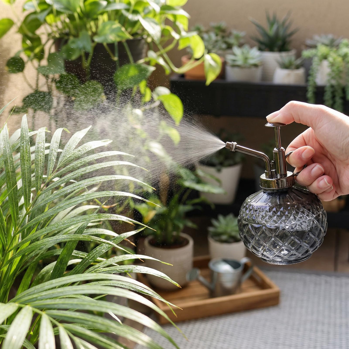 Fine mist spray from OFFIDIX Plant Mister onto leafy plant