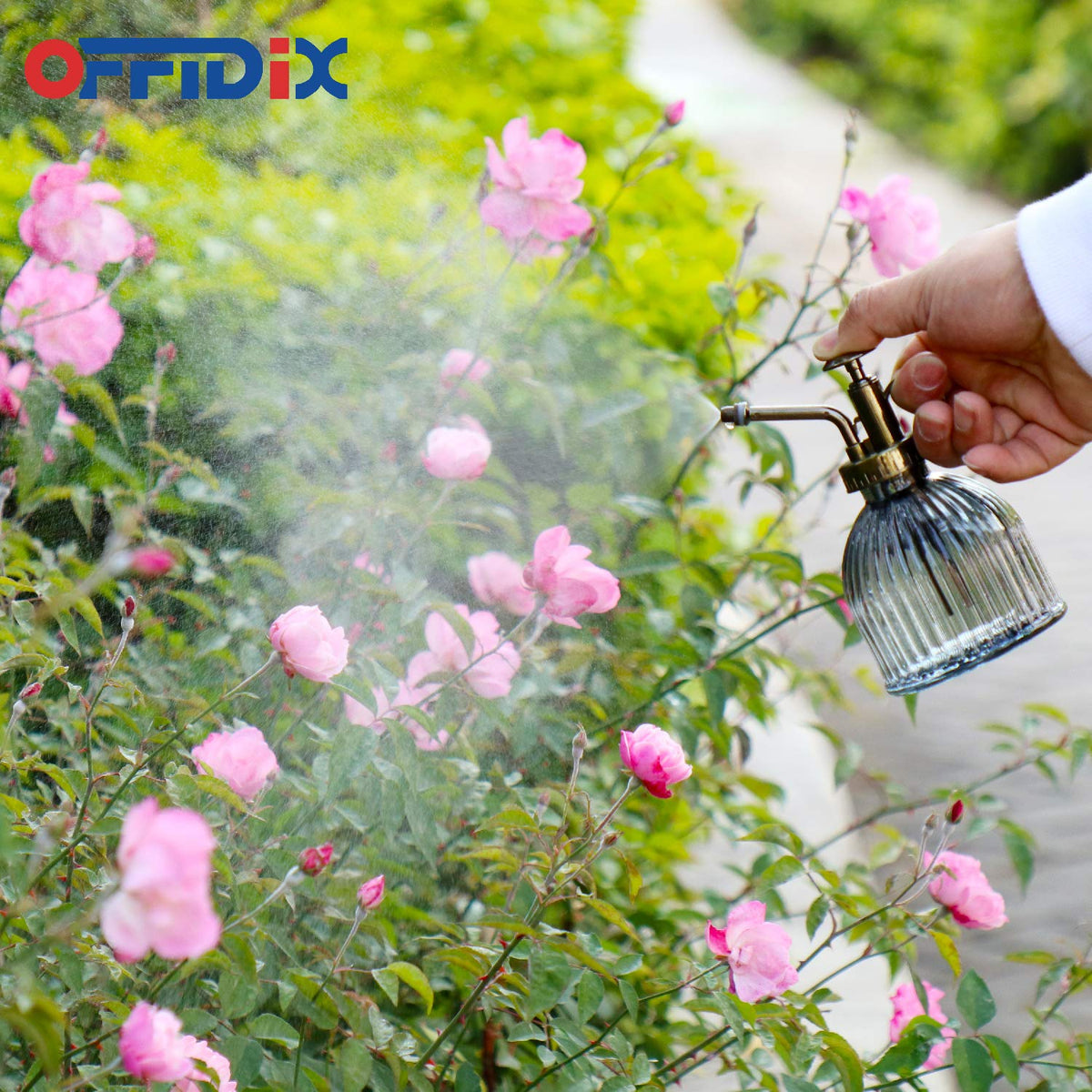 OFFIDIX Plant Mister on a windowsill for convenient watering.