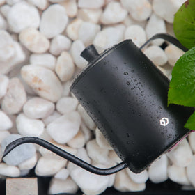 OFFIDIX spray nozzle adjusts from mist to stream for versatile care