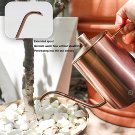 OFFIDIX stainless steel watering can—leak-proof and rust-resistant