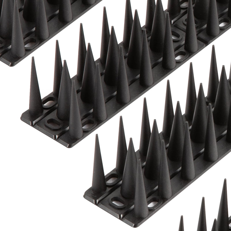 OFFO Bird Spikes installed on a window to deter perching and droppings