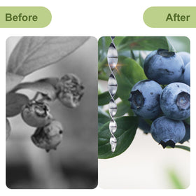 OFFO weather-resistant reflective rods protect crops and decor from birds.