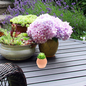 OFFSCH mini ceramic pot orange top view, reveals the round shape and glaze.