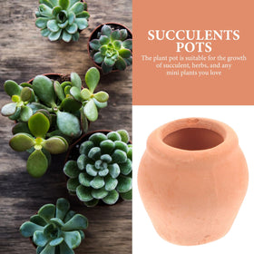 OFFSCH round succulent pot orange collection, versatile for mixed greenery.