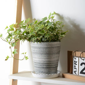 OFiSEXPT indoor-outdoor saucer supports versatile gardening anywhere.
