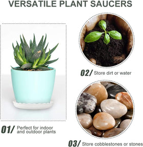 OFiSEXPT plant saucer 8-inch keeps larger pots dry and tidy.