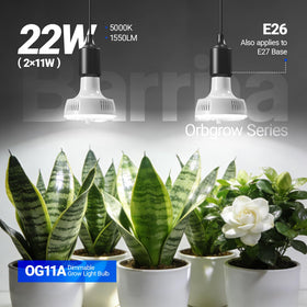 OG11A bulb delivering high PPFD performance for dense leafy growth