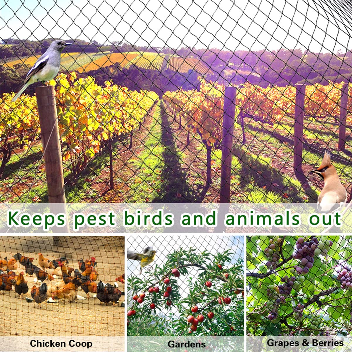 OGORI wildlife barrier nets safeguard vegetables and berries with humane protection