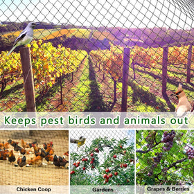 OGORI wildlife barrier nets safeguard vegetables and berries with humane protection
