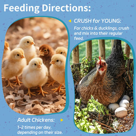 OHNAME eco-friendly packaging showcasing sustainable poultry feed from plant-based materials.