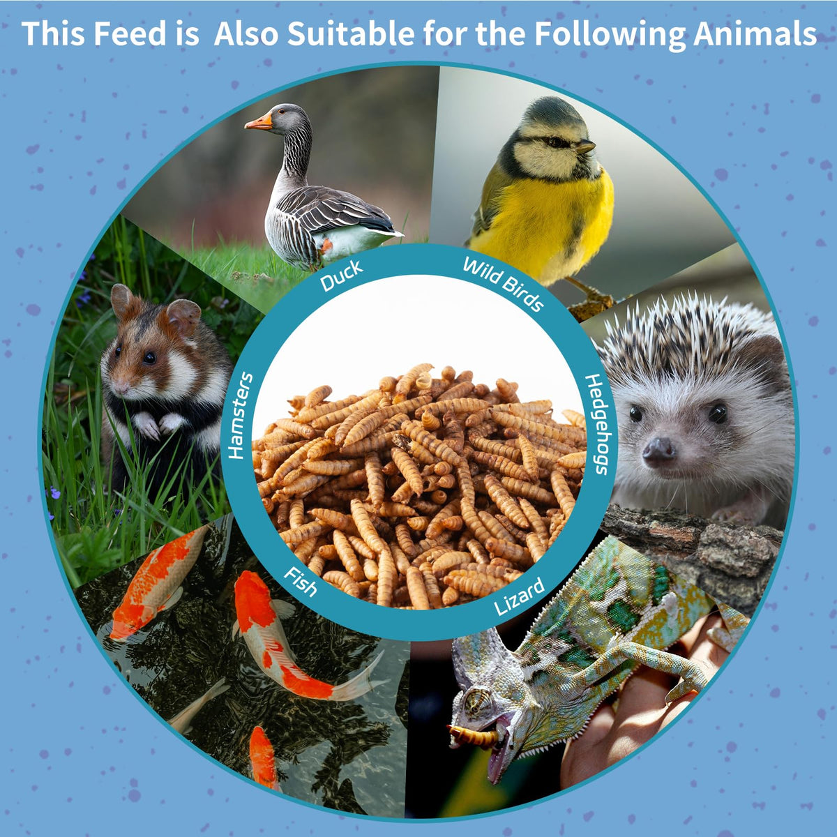 OHNAME sustainable feed uses plant-based ingredients and low-emission processing.