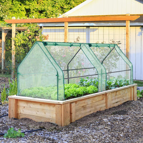 Ohuhu durable iron tubes provide a sturdy greenhouse frame for long-term use.