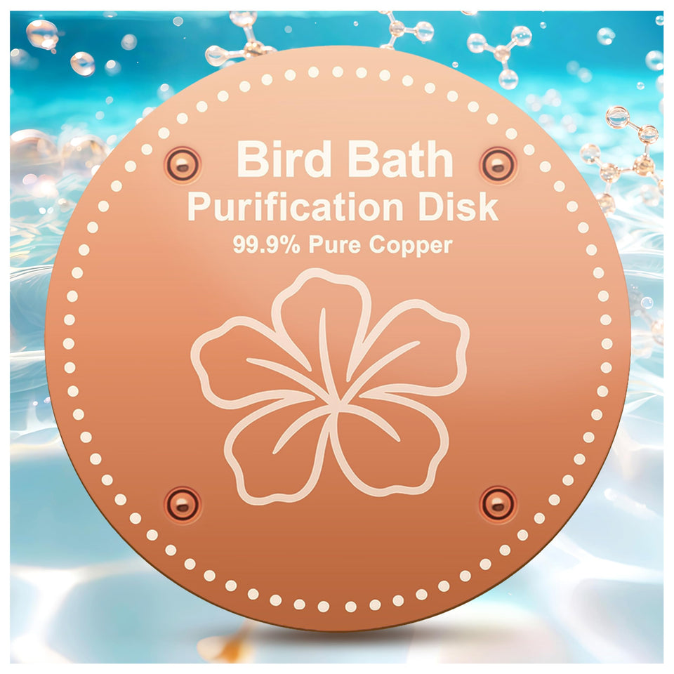 OICEME purification disk in a birdbath enhances water clarity for visiting birds.