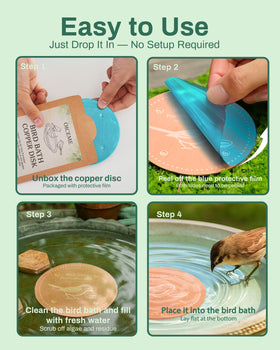 OICEME improves water quality for hummingbird and finch visits.