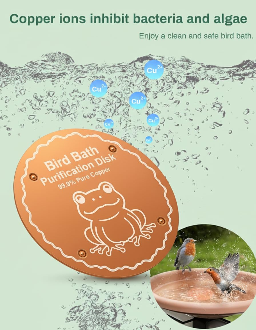 OICEME pure copper birdbath water cleaner improves clarity and supports healthy backyard visitors.