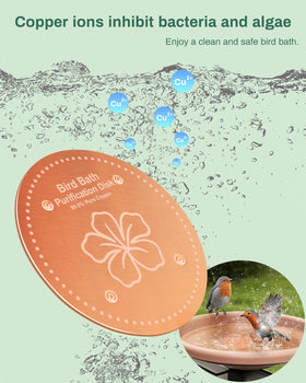 OICEME pure copper purification disk boosts water clarity in fountains and pedestals for birds.