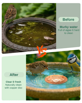OICEME solar powered bird bath setup enhances outdoor water care.