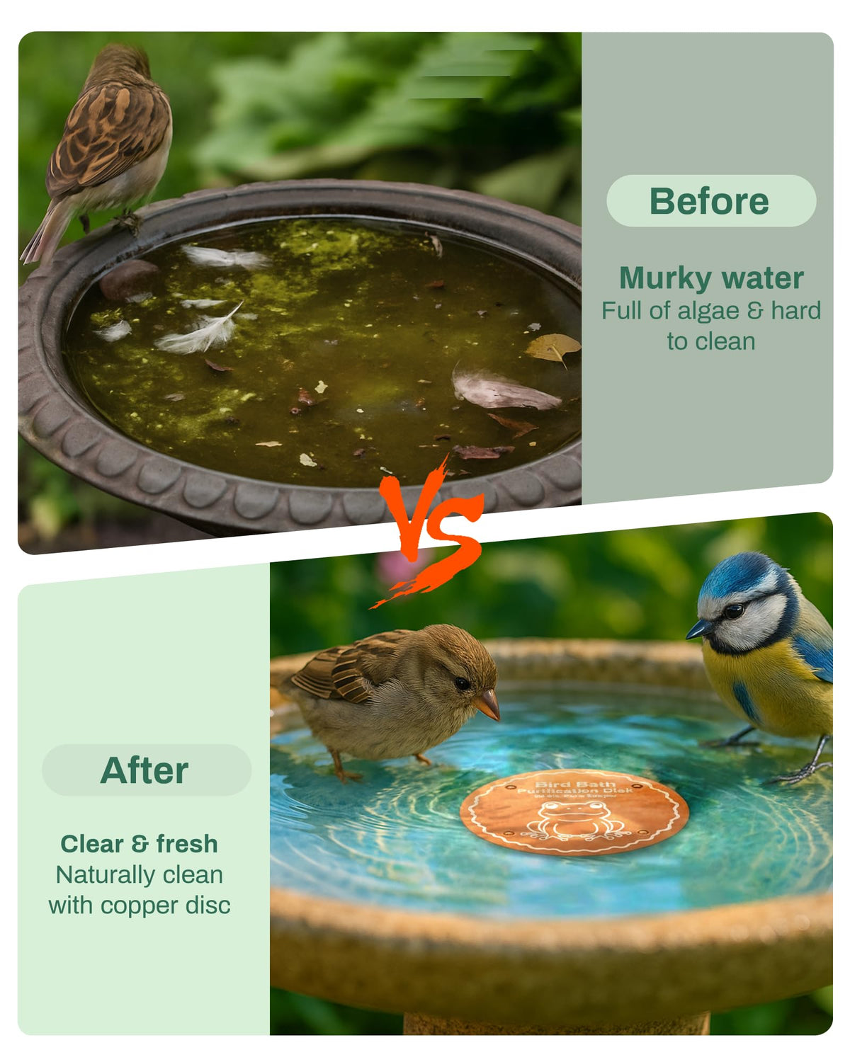 OICEME solar-support birdbath heater compatible disk for year-round comfort.
