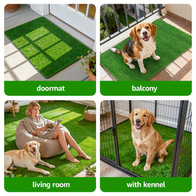 Oiyeefo dog-friendly design supports safe play.
