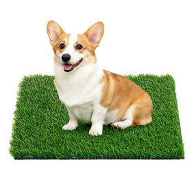 Oiyeefo artificial turf outdoor dog potty, easy cleanup.
