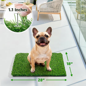 Oiyeefo turf on patio setup for mess-free outdoor time.