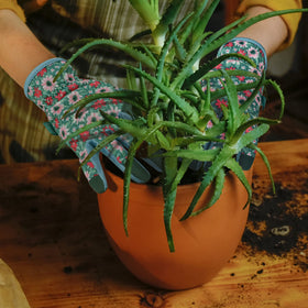 OIZEN size Large fits most hands for secure comfortable hold
