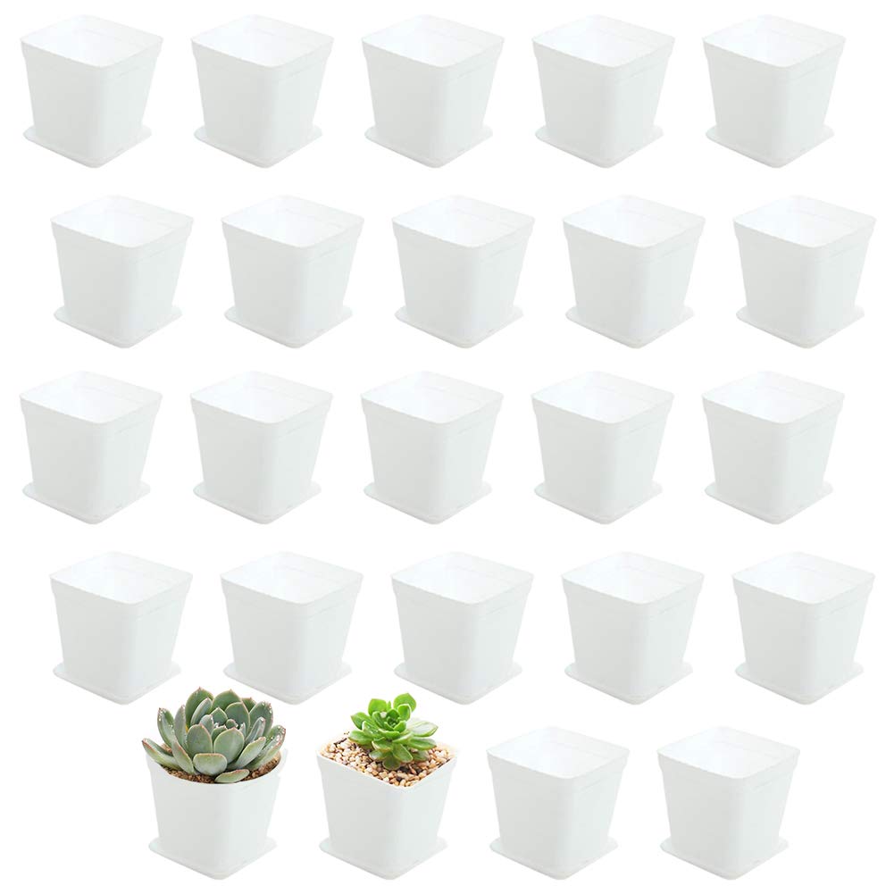 OJYUDD 24-pack white square pots with saucers for organized watering.